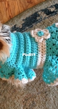 Yarn It Cindy - Cindy Hayne - Button Up Dog Dress