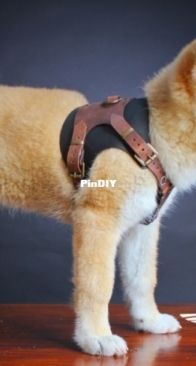 Dieselpunk - Tony See - Leather Dog Harness - Size S-XL