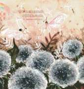 HAED HAEJOAB  111 Dandelion clock dance by Joanna Bromley