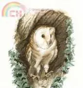 Heritage Stitchcraft JSBO402 Barn Owl by John Stubbs XSD