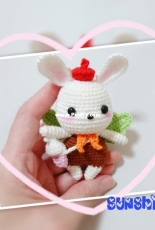Acorn rabbit