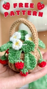 Kein Maker - Kein T - Strawberry plant in basket - Free