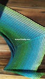Granny modern flowers shawl