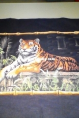 Tiger Dimensions kit