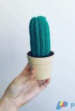 DEMC - Donde Esta Mi Crochet - Anto Galfrascoli - Amigurumi Cactus - English and Spanish - Free