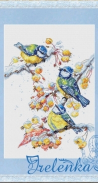 Blue Tits by Irina Trepenkova XSD