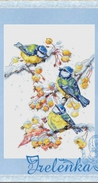 Blue Tits by Irina Trepenkova XSD