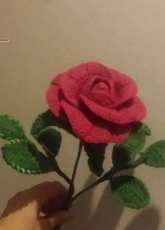roses