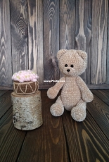 Little bear