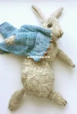 Peter Rabbit - Claire Garland