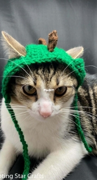 Shooting Star Crafts - Cari Lam - Crocheted Dinosaur Cat Hat - Free