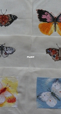 Butterflies