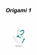Origami 1 Form Internet