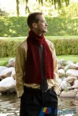 Thierry Scarf by Celeste Glassel /Nebula Designs-Free