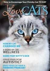 I Love Cats-Summer-2015