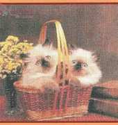 Mystic Stitch CAT-14 - Purrrfect Pair