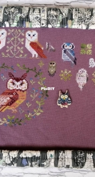 100 Owls
