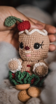 Dani Diro Handmade - Daniela Diaz - Cherry the Cookie - English
