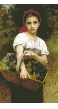 Golden Kite GK 1342 The Grape Picker