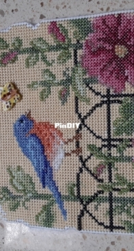 Mill Hill Spring Bluebird