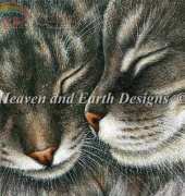 HAED HAEIAG 1254 Tabbies Irina Garmashova