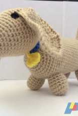 Dachshund dog