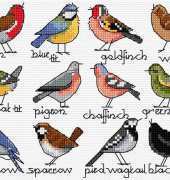 Bird Selection by Lesley Teare