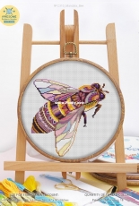 Awesome Pattern Studio C310 - Mandala Bee