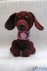 Puppy