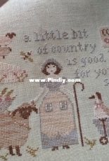 Stitches Through the Years Country Life