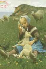 Golden Kite GK3044 Lamb