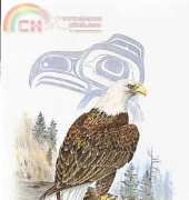 Sue Coleman CS-305 - The Eagle XSD