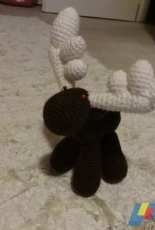 Reindeer