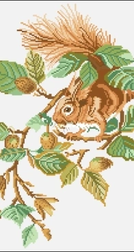 Penelope N.135 - Squirrel on Branch  SAGA