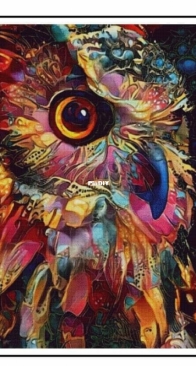 Abakan - Colorful Owl by Urszula Przygrodzka