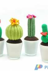Wolplein.nl - Cactus - Dutch - Free