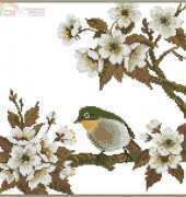 Riolis 485 Bird on a Branch (xsd)
