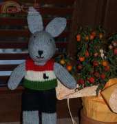 Rabbit Legia Warszawa