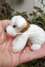 White doggy