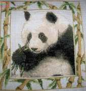 Panda bear