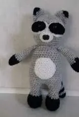 raccoon