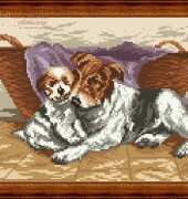 Megat 4006 - Puppies by the basket