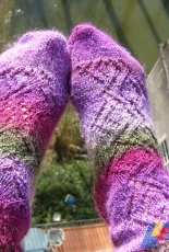 Ardilanak-Mythological Socks by Ardilanak-Free