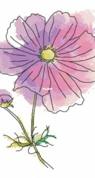 Coricamo GC 8706 - Charming Cosmos