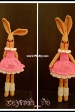 cute bunny