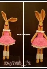 cute bunny
