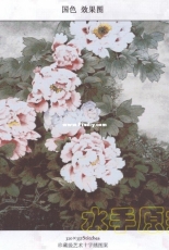 Haukun H-056 - National Color Peonies