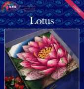 Dome 110506 - Lotus