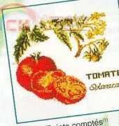 Thea Gouverneur 3040 Tomate