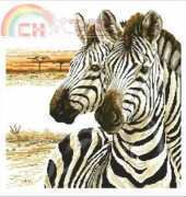 Anchor Maia 5678000-01119 Zebras XSD
